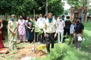 Senior Indian Forest Service officer did tree plantation festival on retirement